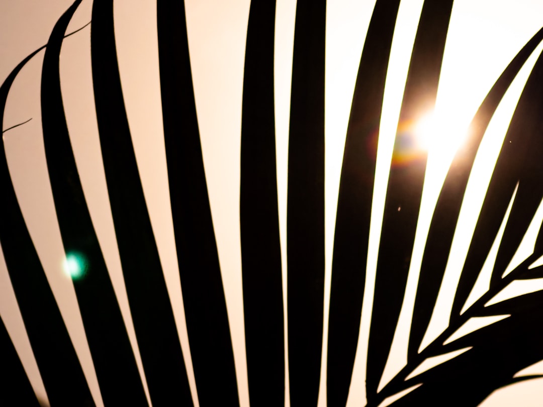 Photo zebra striped table lamp