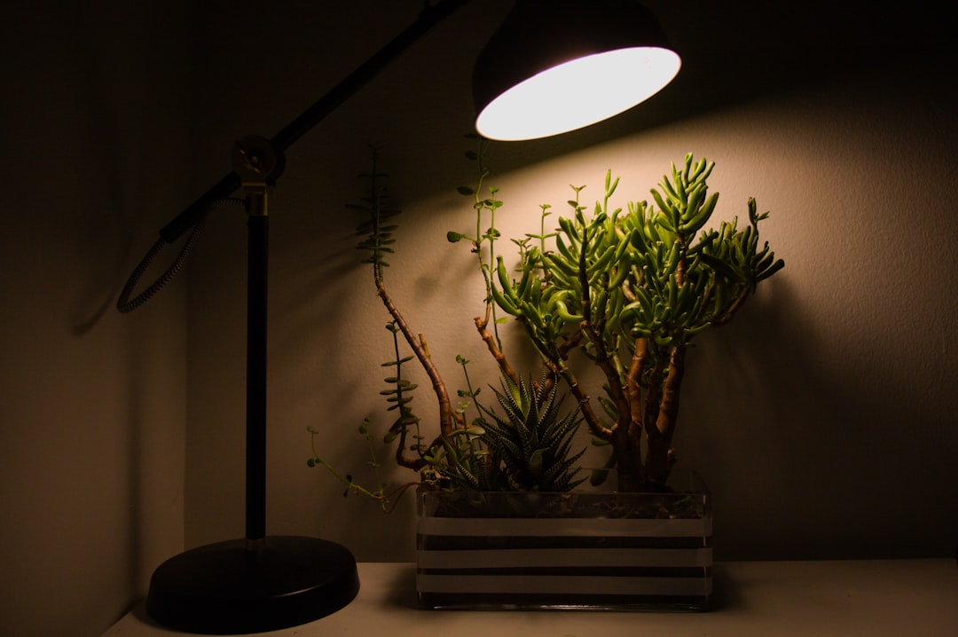Photo eye-protection desk lamp